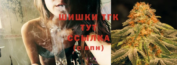 ALPHA PVP Богородицк