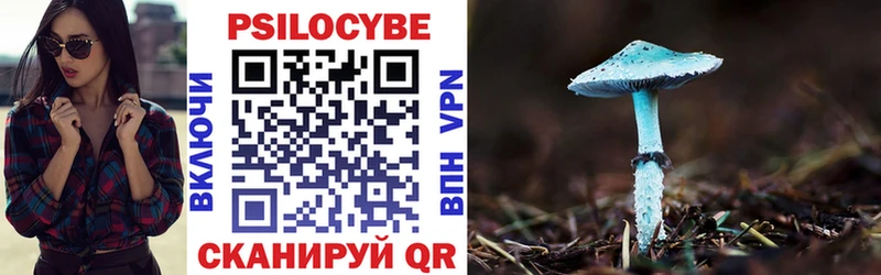 Галлюциногенные грибы Magic Shrooms  Дмитриев 